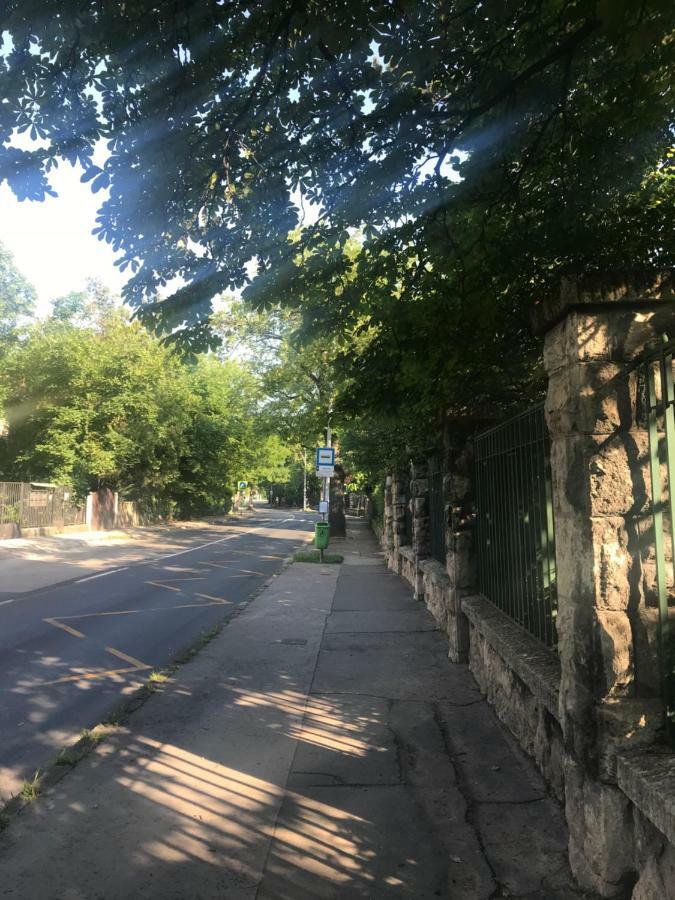 Pasaret Studio Будапеща Екстериор снимка